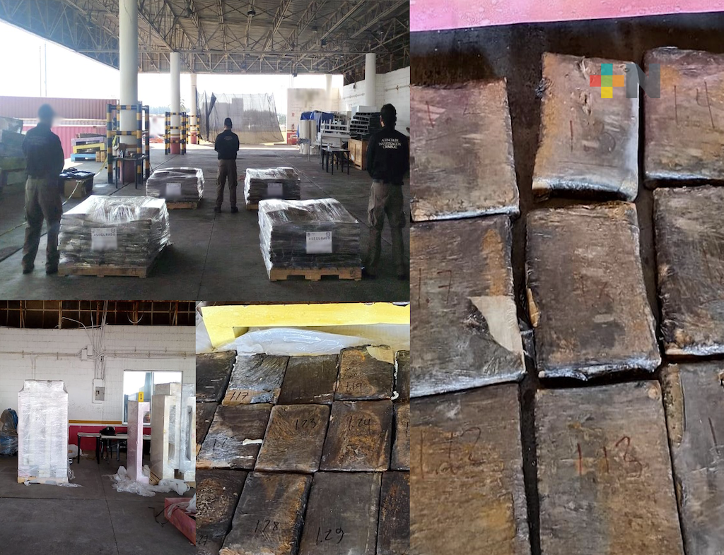 FGR y Semar aseguran más de 700 kilos de marihuana en recinto portuario de Veracruz